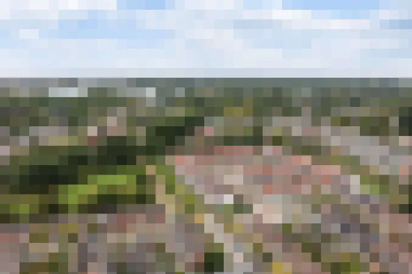John Sousarode 5 Zoetermeer thumbnail 45