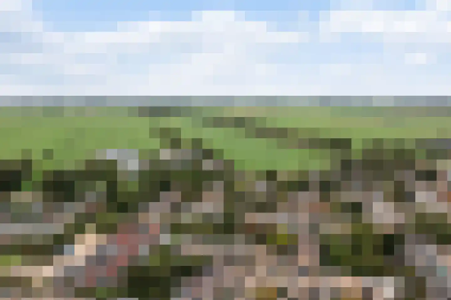 John Sousarode 5 Zoetermeer thumbnail 46