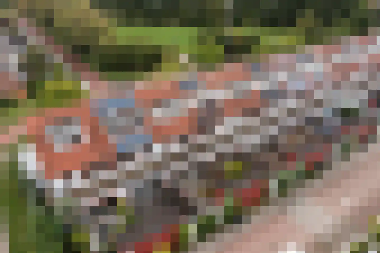 John Sousarode 5 Zoetermeer thumbnail 54