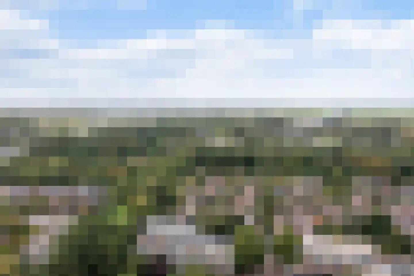John Sousarode 5 Zoetermeer thumbnail 55