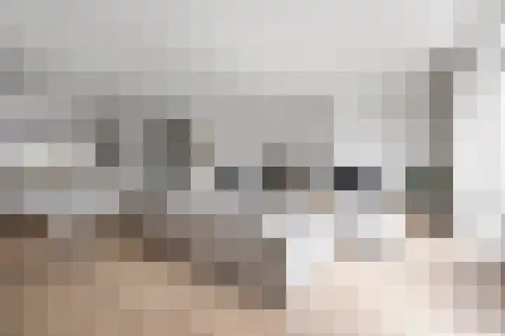 John Steinbecklaan 4 Den Haag thumbnail 10