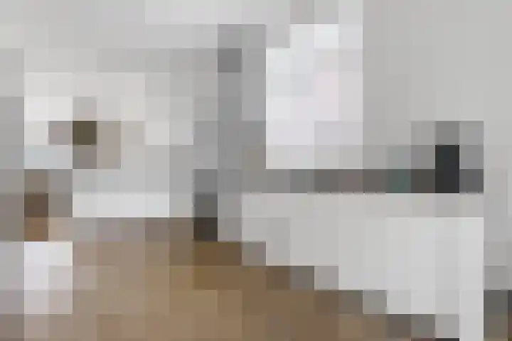 John Steinbecklaan 4 Den Haag thumbnail 19