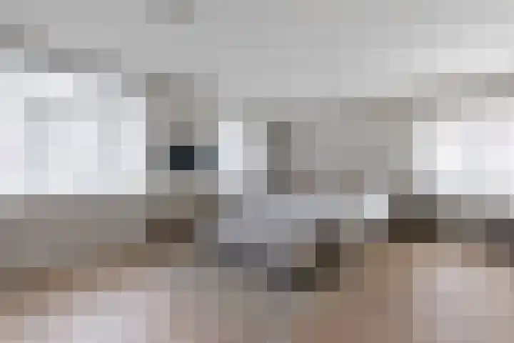 John Steinbecklaan 4 Den Haag thumbnail 40