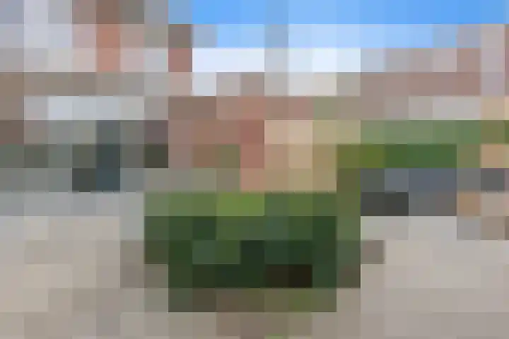 John Steinbecklaan 9 Den Haag thumbnail 21