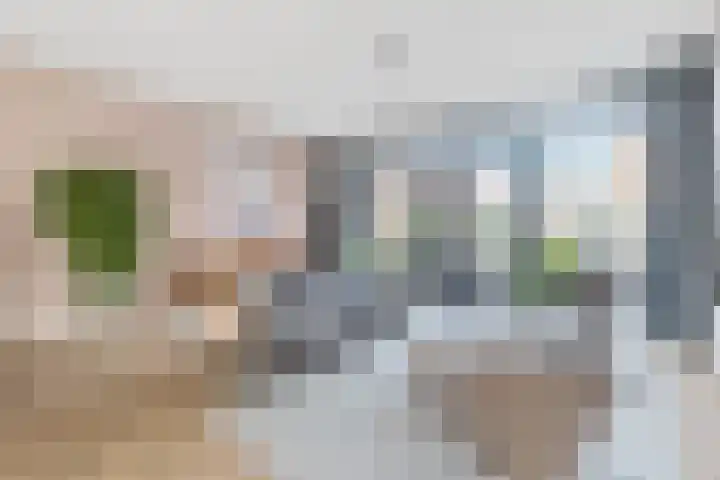 John Steinbecklaan 9 Den Haag thumbnail 5