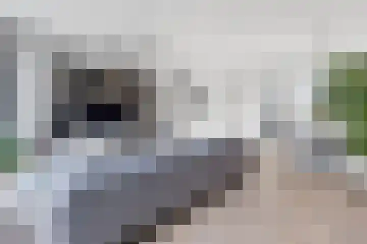 John Steinbecklaan 9 Den Haag thumbnail 7