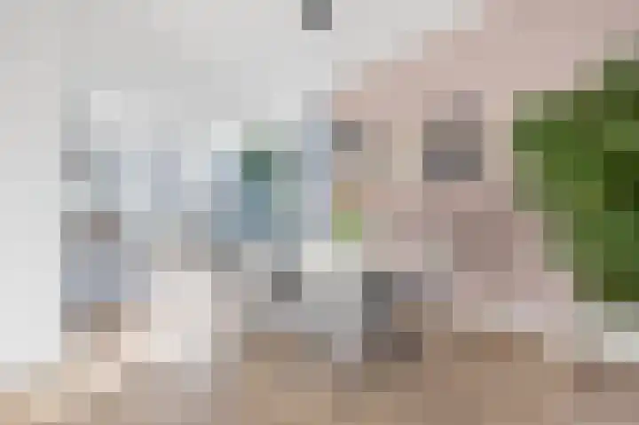 John Steinbecklaan 9 Den Haag thumbnail 9