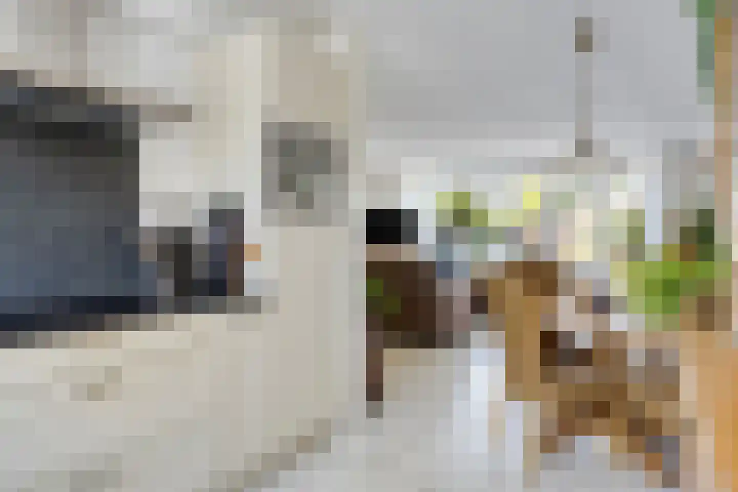 John Woodruimte 21 Zoetermeer thumbnail 11