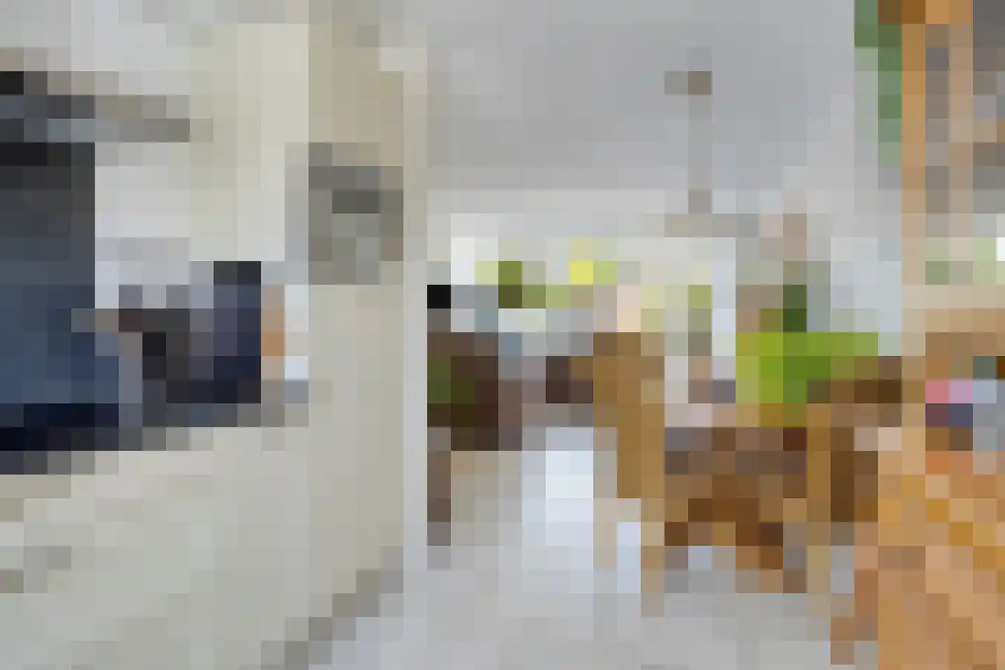 John Woodruimte 21 Zoetermeer thumbnail 12