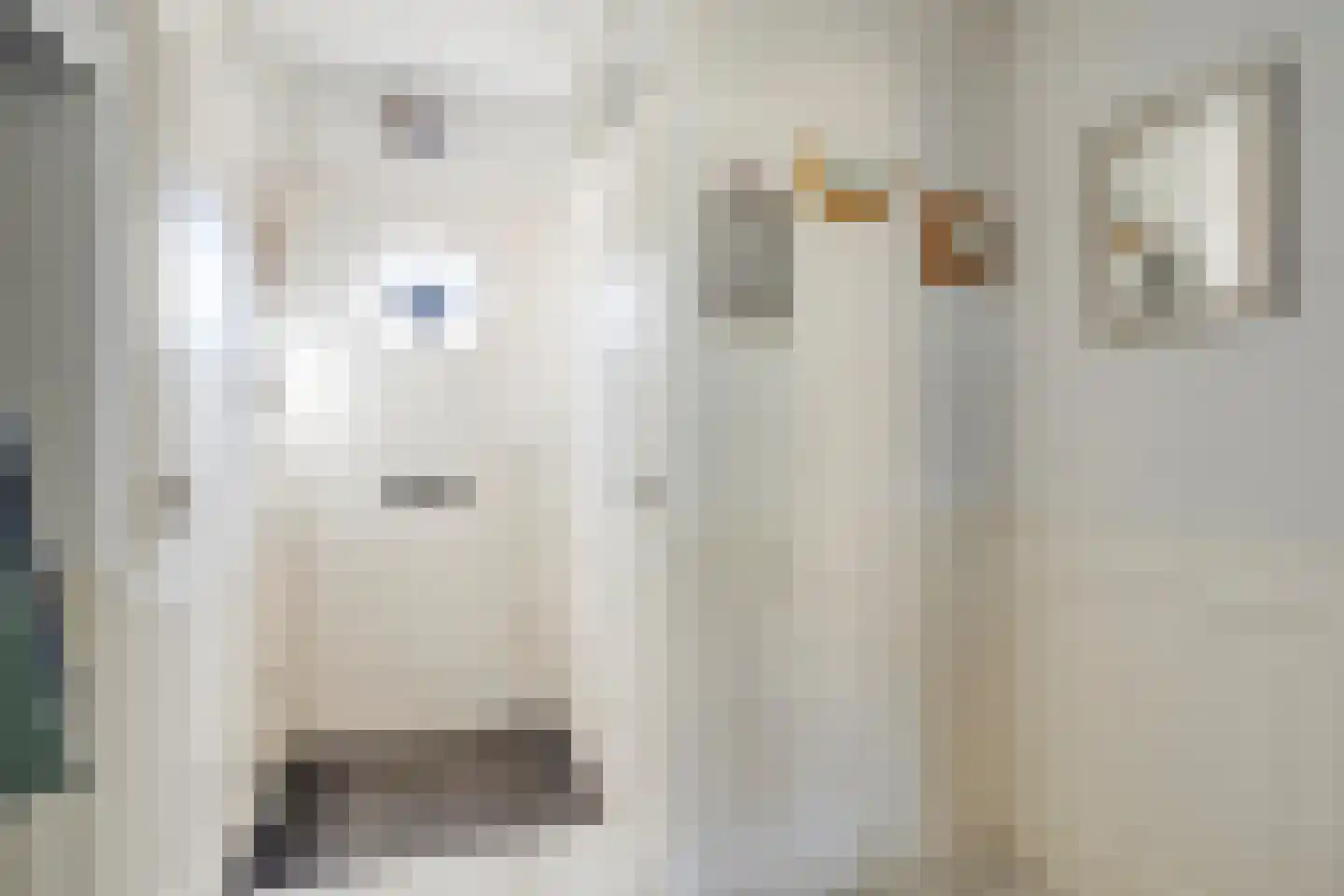 John Woodruimte 21 Zoetermeer thumbnail 4