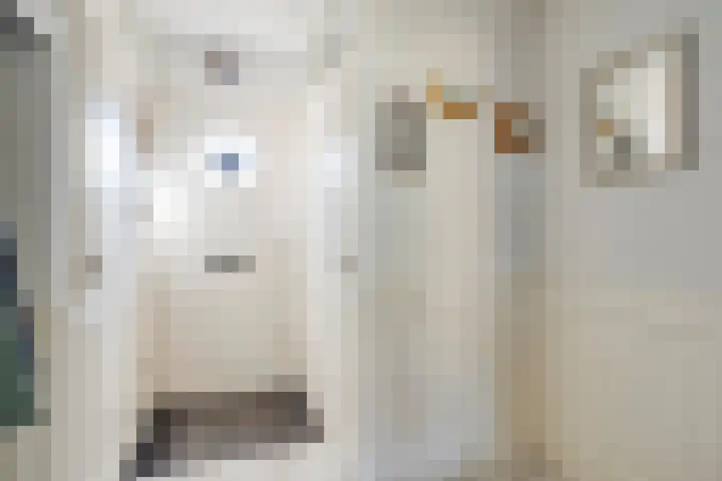 John Woodruimte 21 Zoetermeer thumbnail 5
