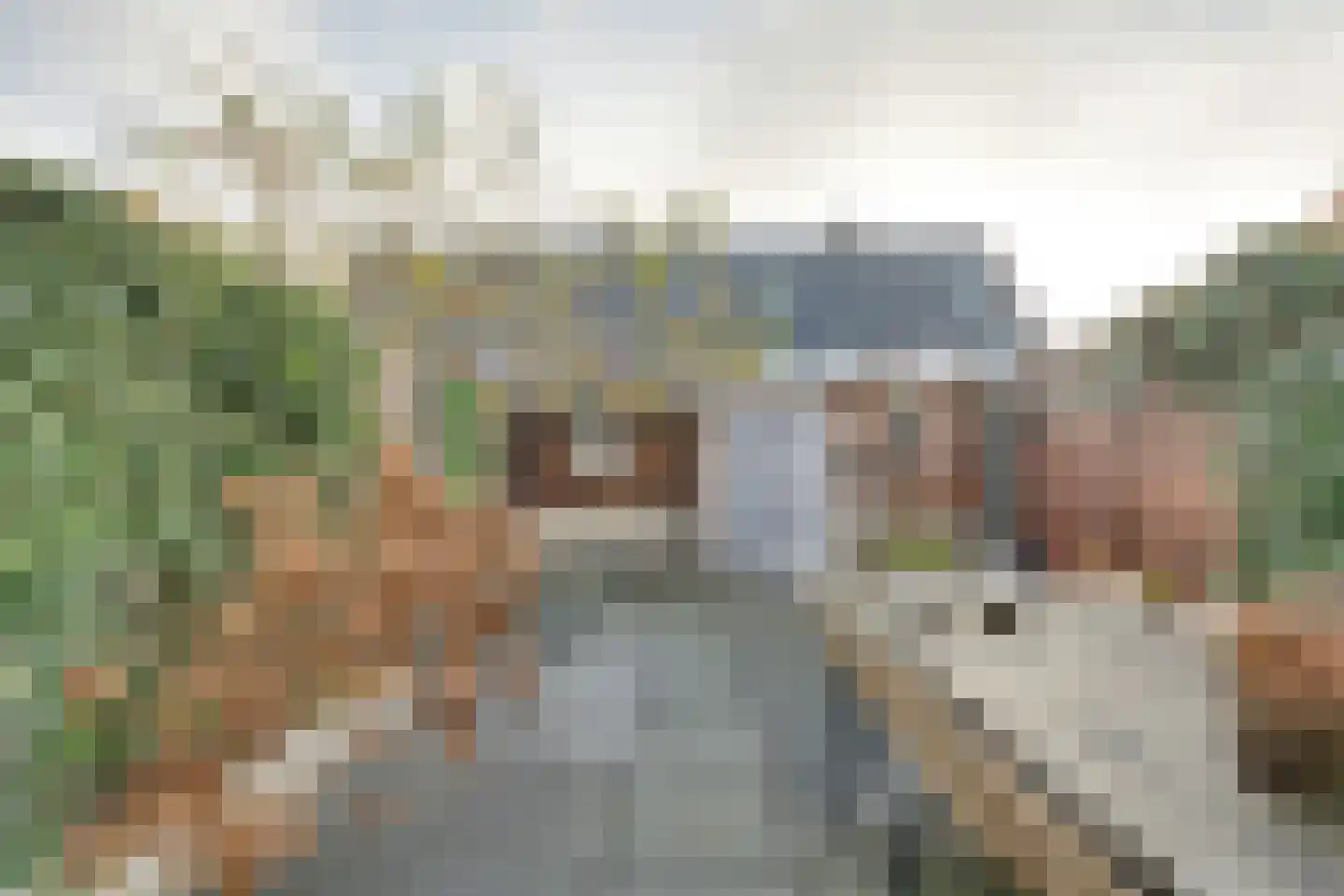 Johnny Cashstraat 14 Middelburg thumbnail 60