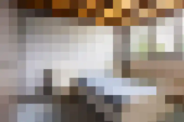 Johs. Kuikenstraat 10 St.-Annaparochie thumbnail 12