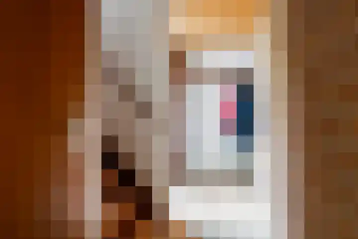 Johs. Kuikenstraat 10 St.-Annaparochie thumbnail 5