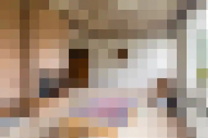 Johs. Kuikenstraat 10 St.-Annaparochie thumbnail 7