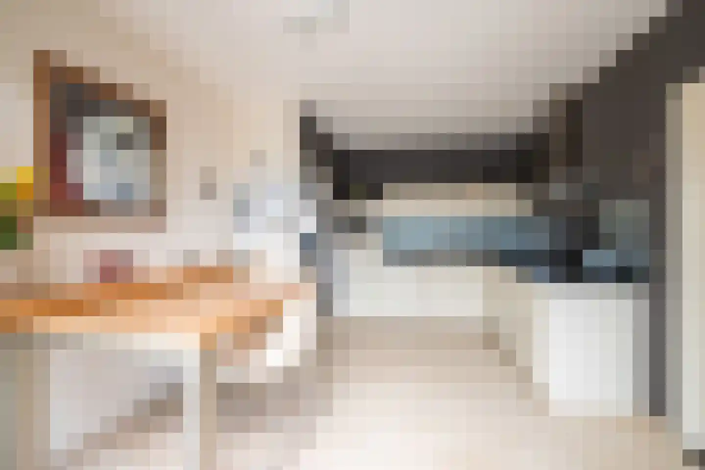 Joinerstraat 10 Linne thumbnail 12