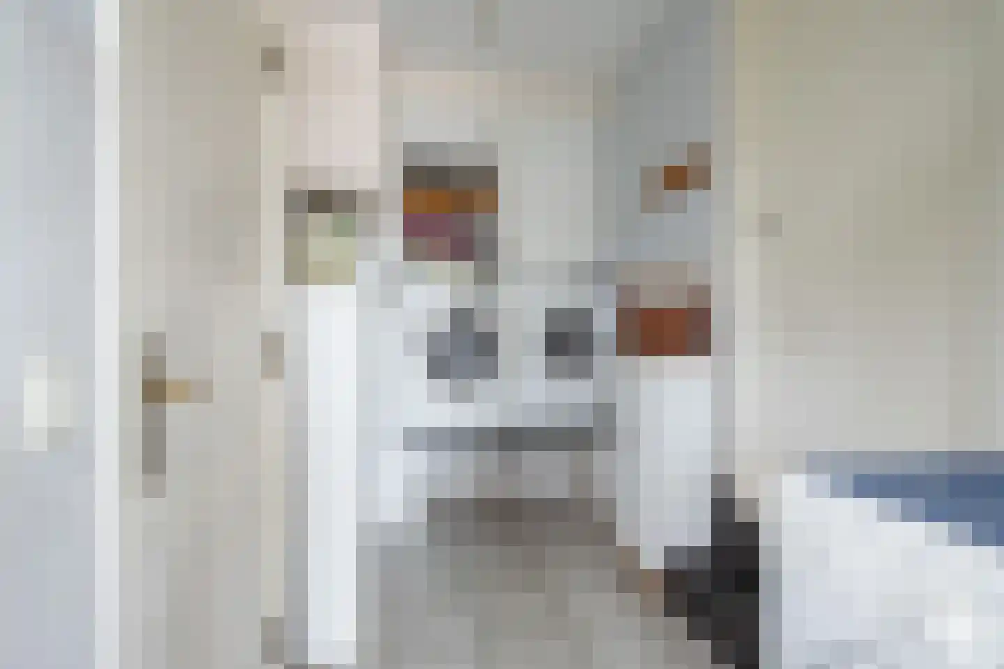 Joinerstraat 10 Linne thumbnail 13