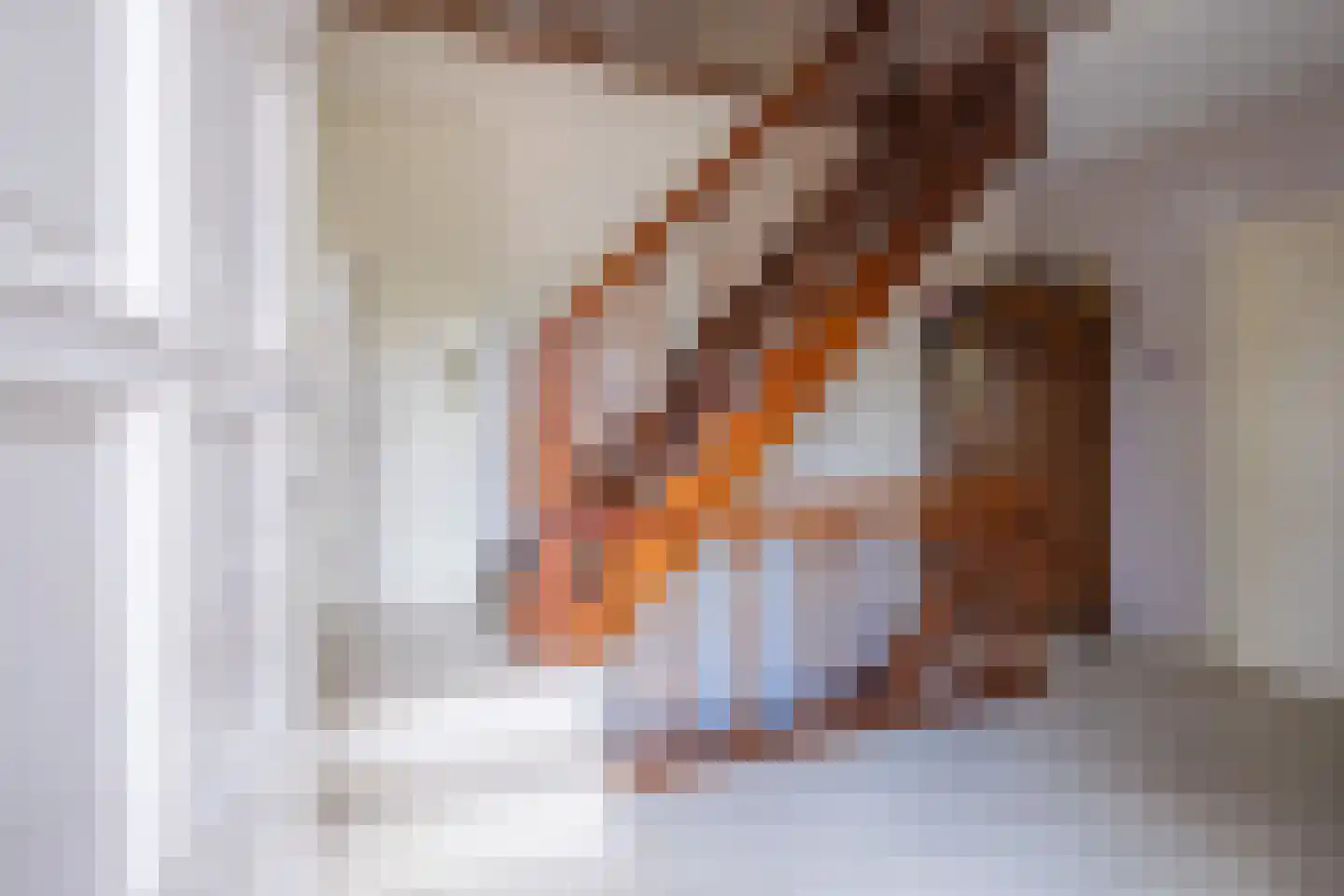 Joinerstraat 10 Linne thumbnail 15