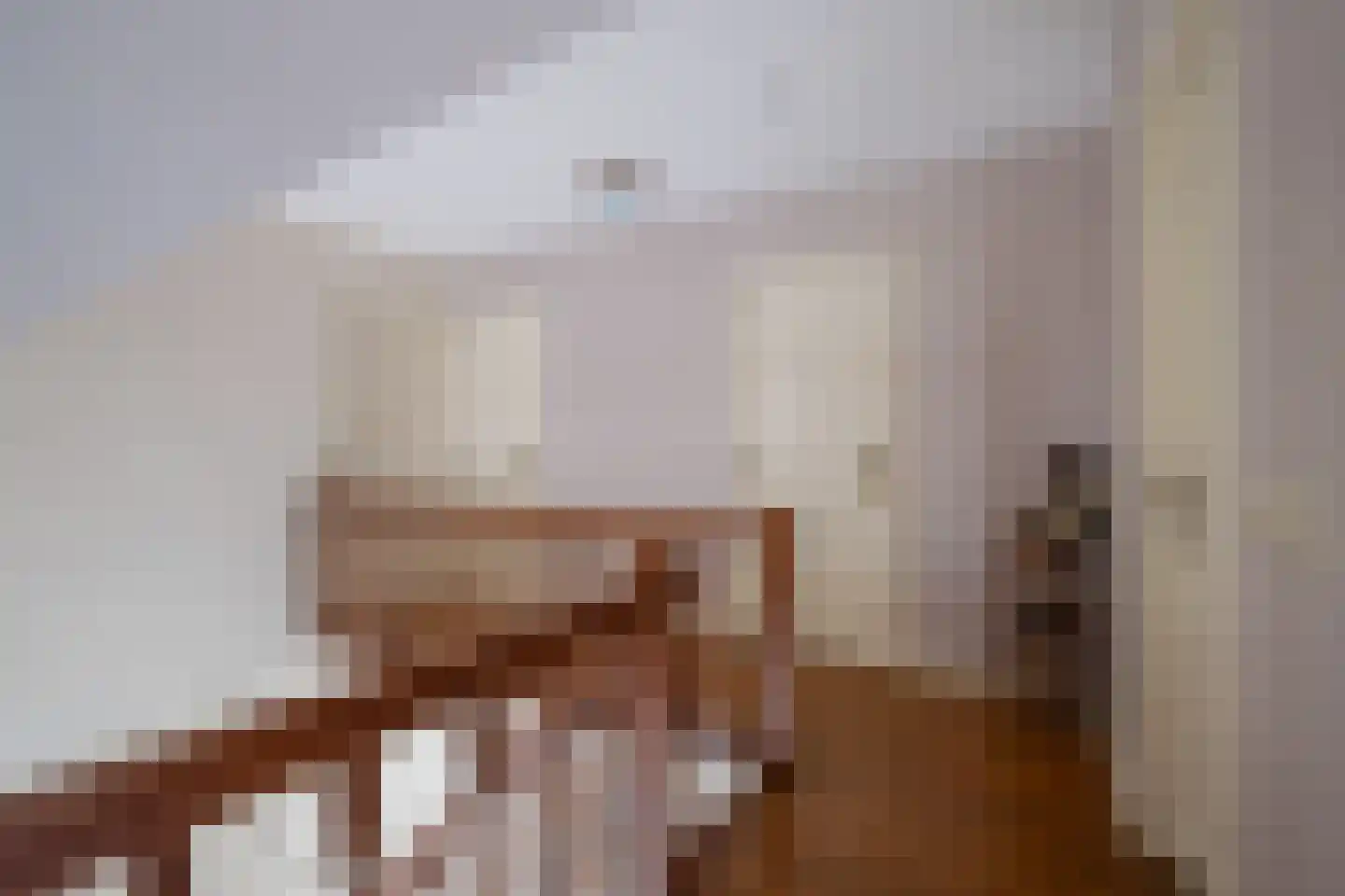 Joinerstraat 10 Linne thumbnail 18