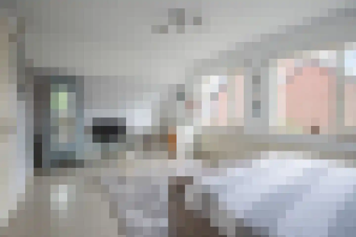 Joinerstraat 10 Linne thumbnail 24
