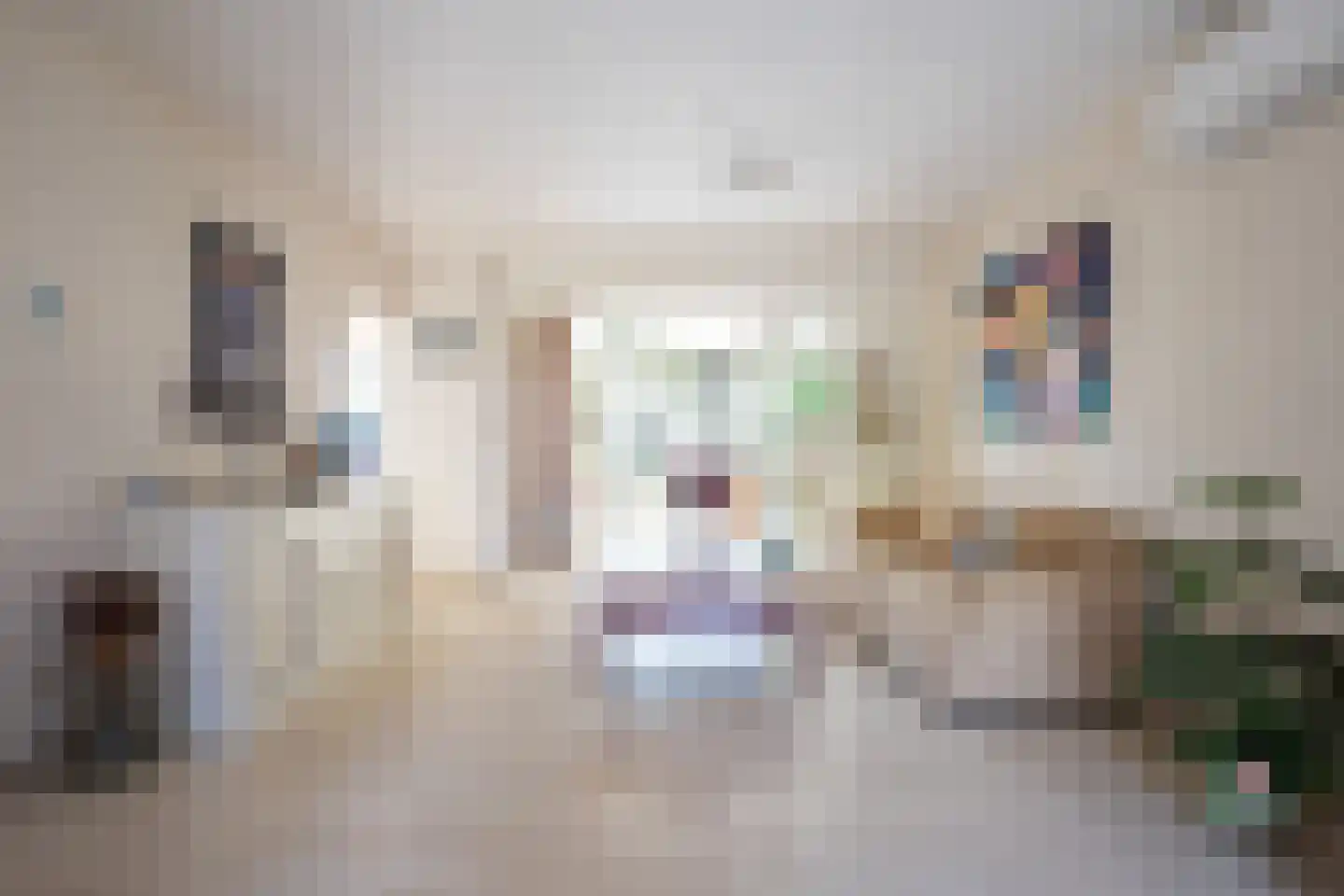 Joinerstraat 10 Linne thumbnail 6