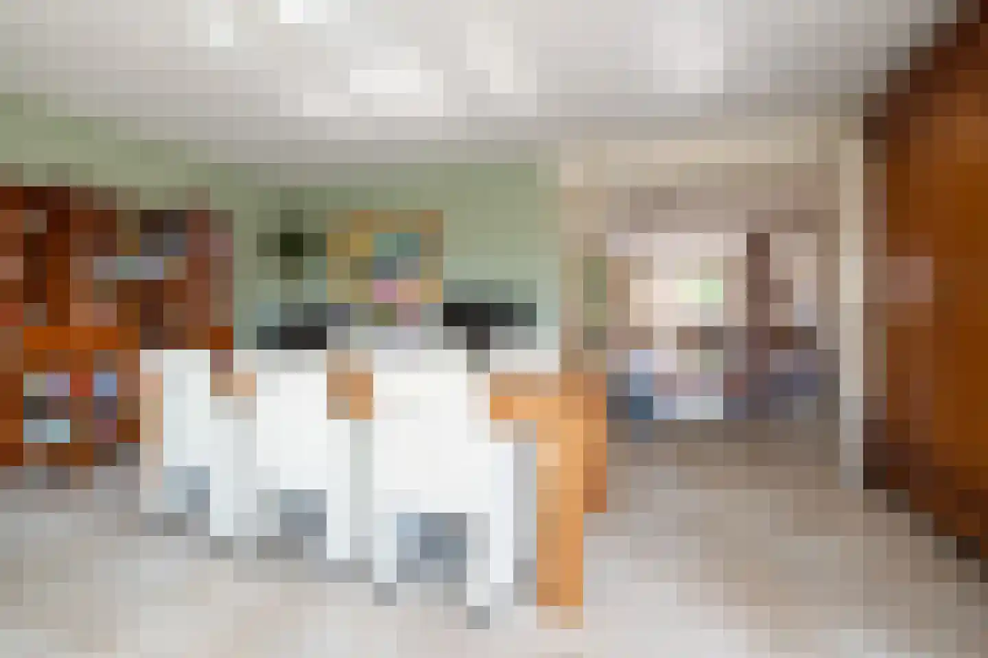 Joinerstraat 10 Linne thumbnail 7