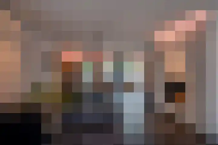 Joinerstraat 27 Linne thumbnail 10