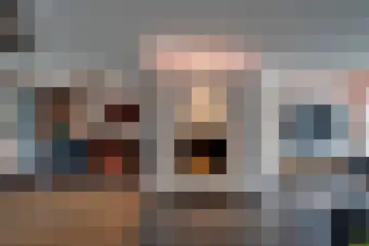 Joinerstraat 27 Linne thumbnail 15