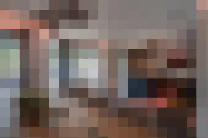 Joinerstraat 27 Linne thumbnail 16