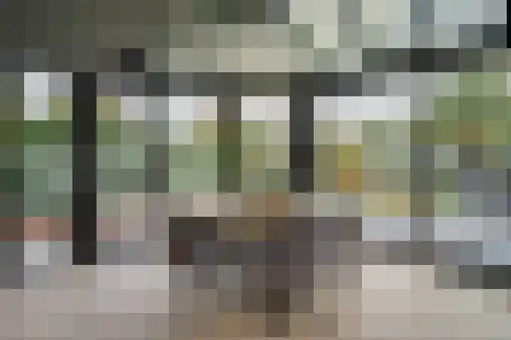 Joinerstraat 27 Linne thumbnail 26