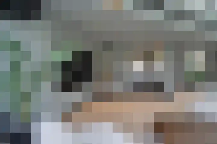 Joinerstraat 27 Linne thumbnail 31
