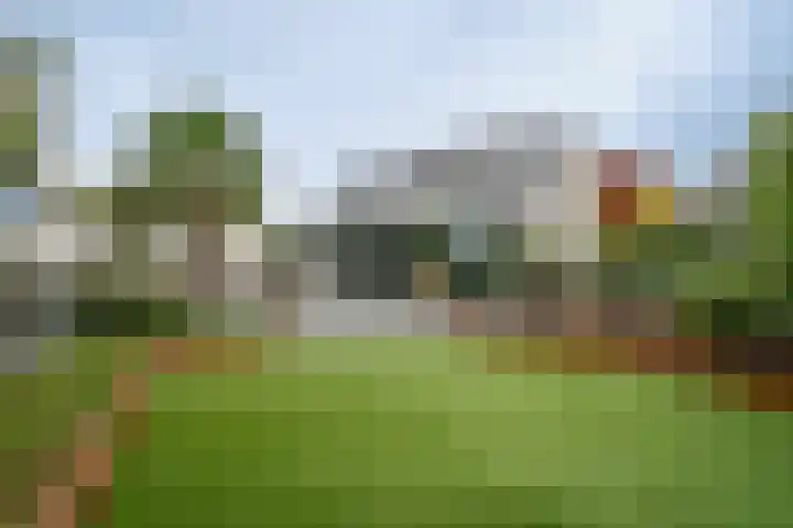 Joinerstraat 27 Linne thumbnail 37