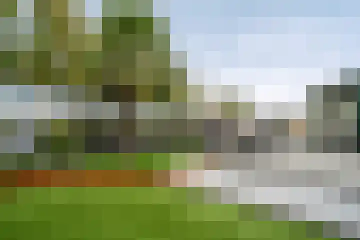Joinerstraat 27 Linne thumbnail 38