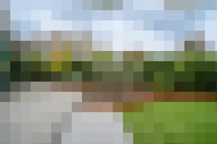 Joinerstraat 27 Linne thumbnail 41