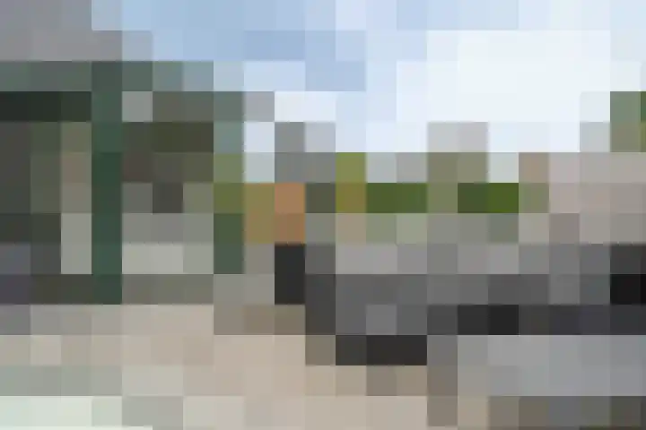 Joinerstraat 27 Linne thumbnail 53