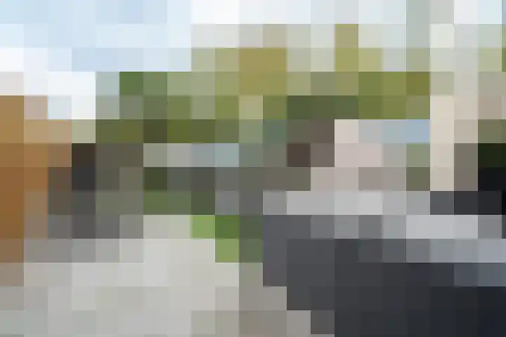 Joinerstraat 27 Linne thumbnail 54