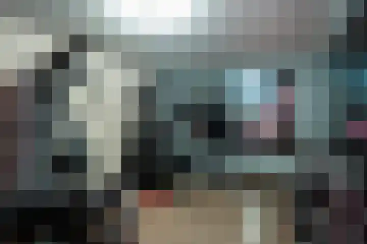 Joinerstraat 27 Linne thumbnail 58