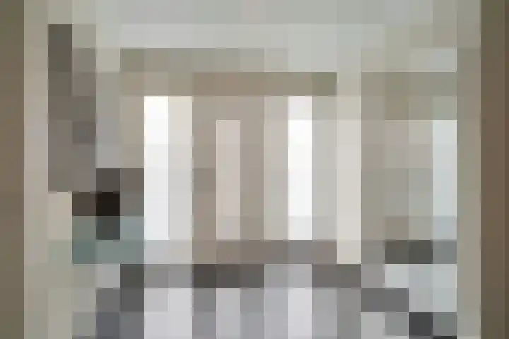 Joinerstraat 27 Linne thumbnail 7