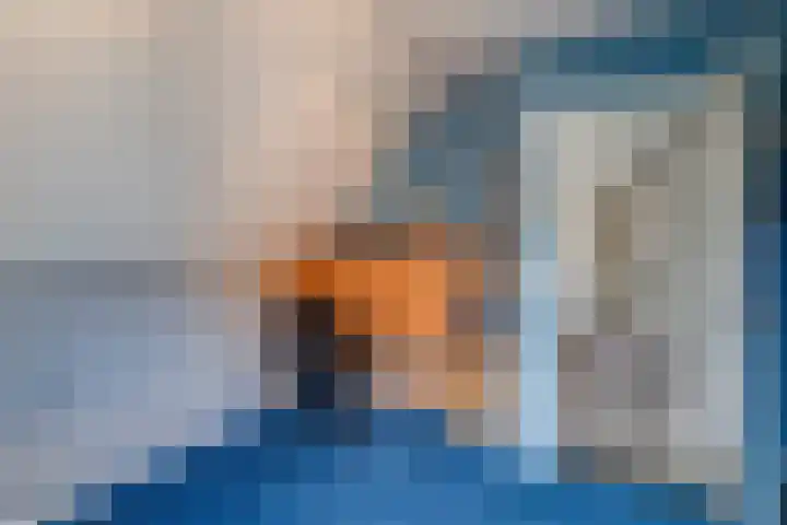 Joinerstraat 27 Linne thumbnail 70