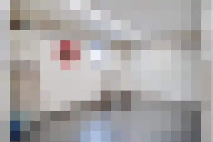 Joinerstraat 27 Linne thumbnail 72