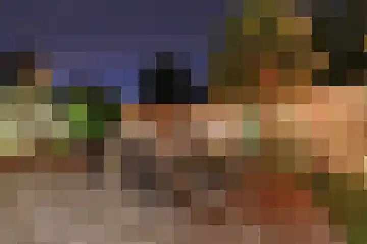 Joinerstraat 27 Linne thumbnail 79