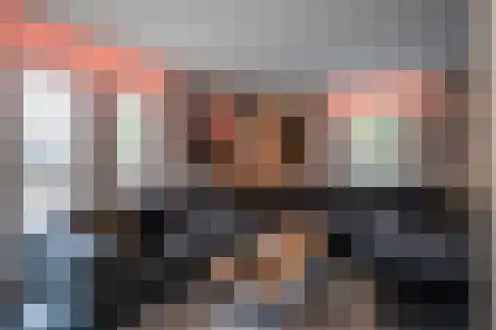 Joinerstraat 27 Linne thumbnail 8
