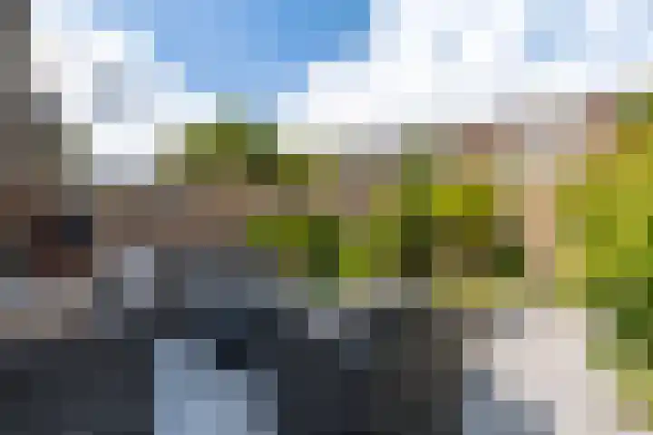 Joke Smit-erf 128 Dordrecht thumbnail 19