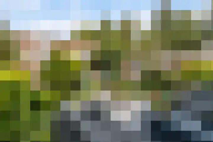 Joke Smit-erf 128 Dordrecht thumbnail 20