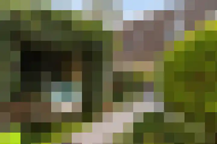 Joke Smit-erf 128 Dordrecht thumbnail 22