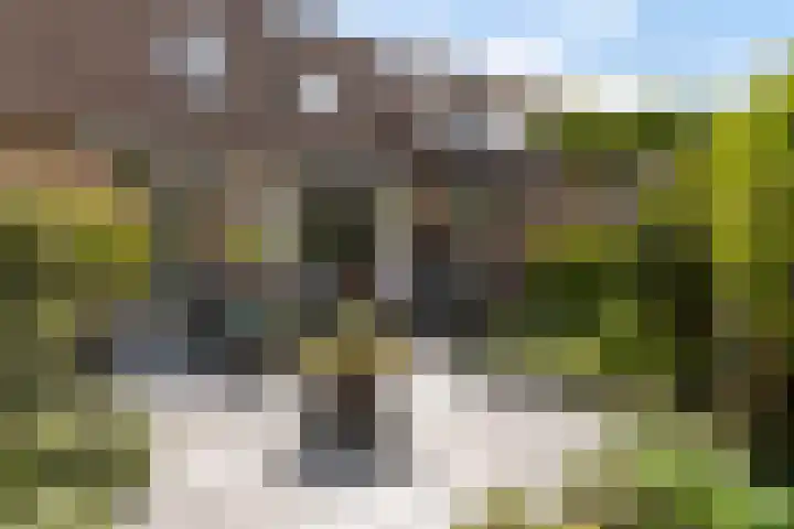 Joke Smit-erf 128 Dordrecht thumbnail 23