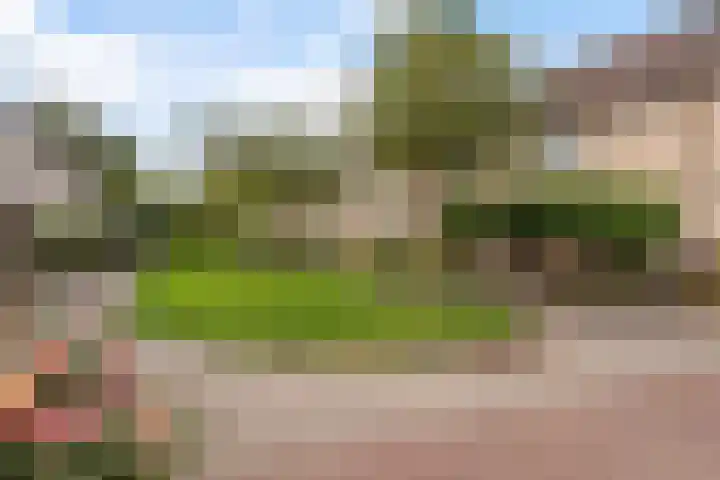 Joke Smit-erf 128 Dordrecht thumbnail 24