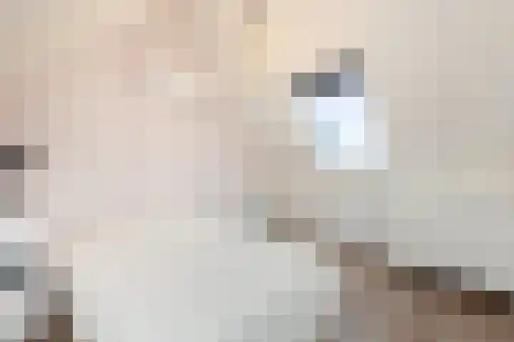 Joke Smit-erf 14 Dordrecht thumbnail 31