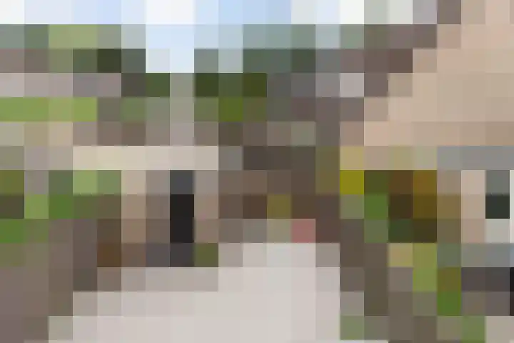 Joke Smit-erf 14 Dordrecht thumbnail 36