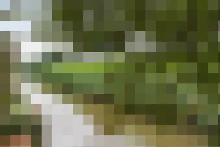 Joke Smit-erf 14 Dordrecht thumbnail 37